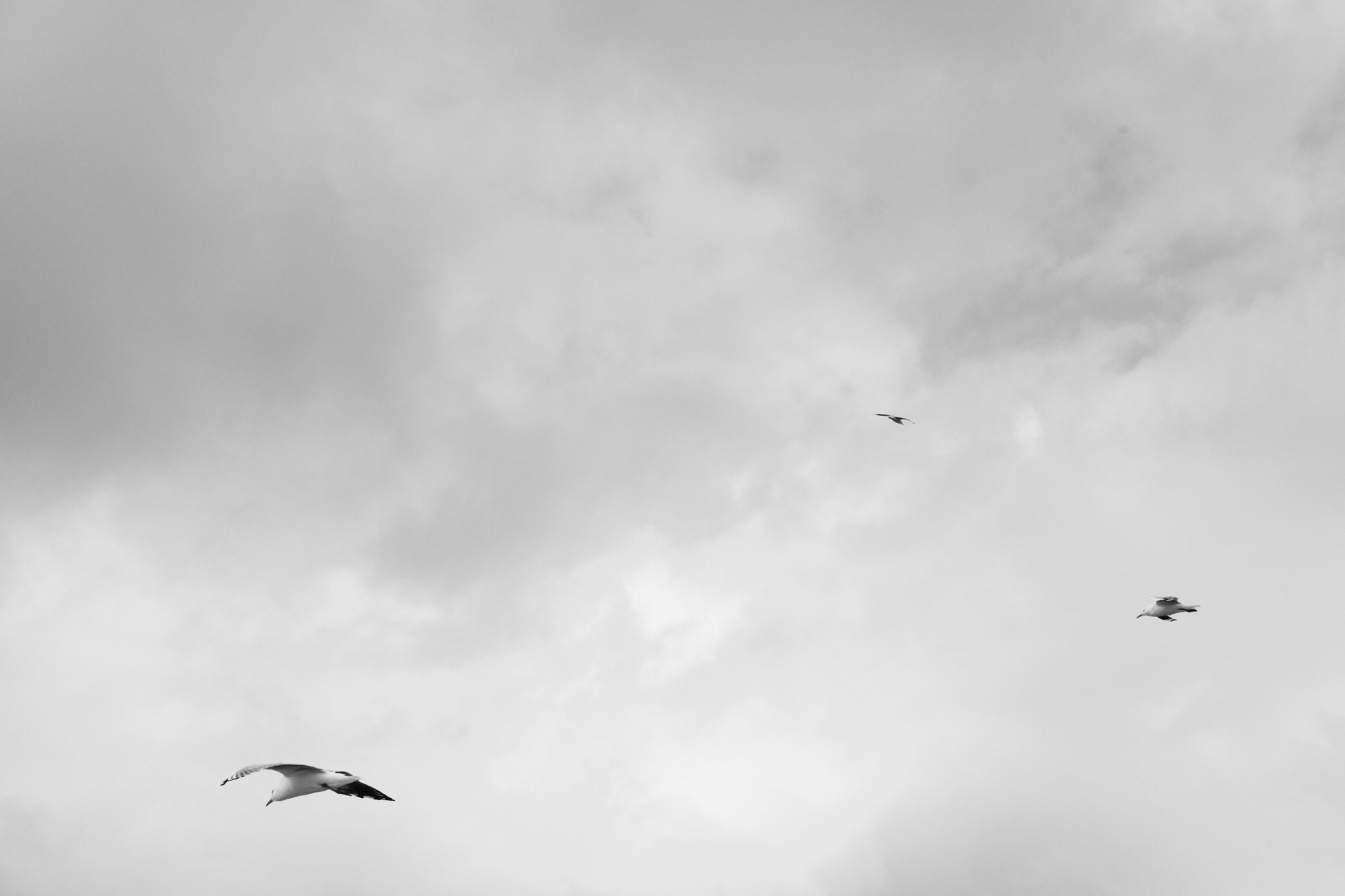 Photo by toeljimothy