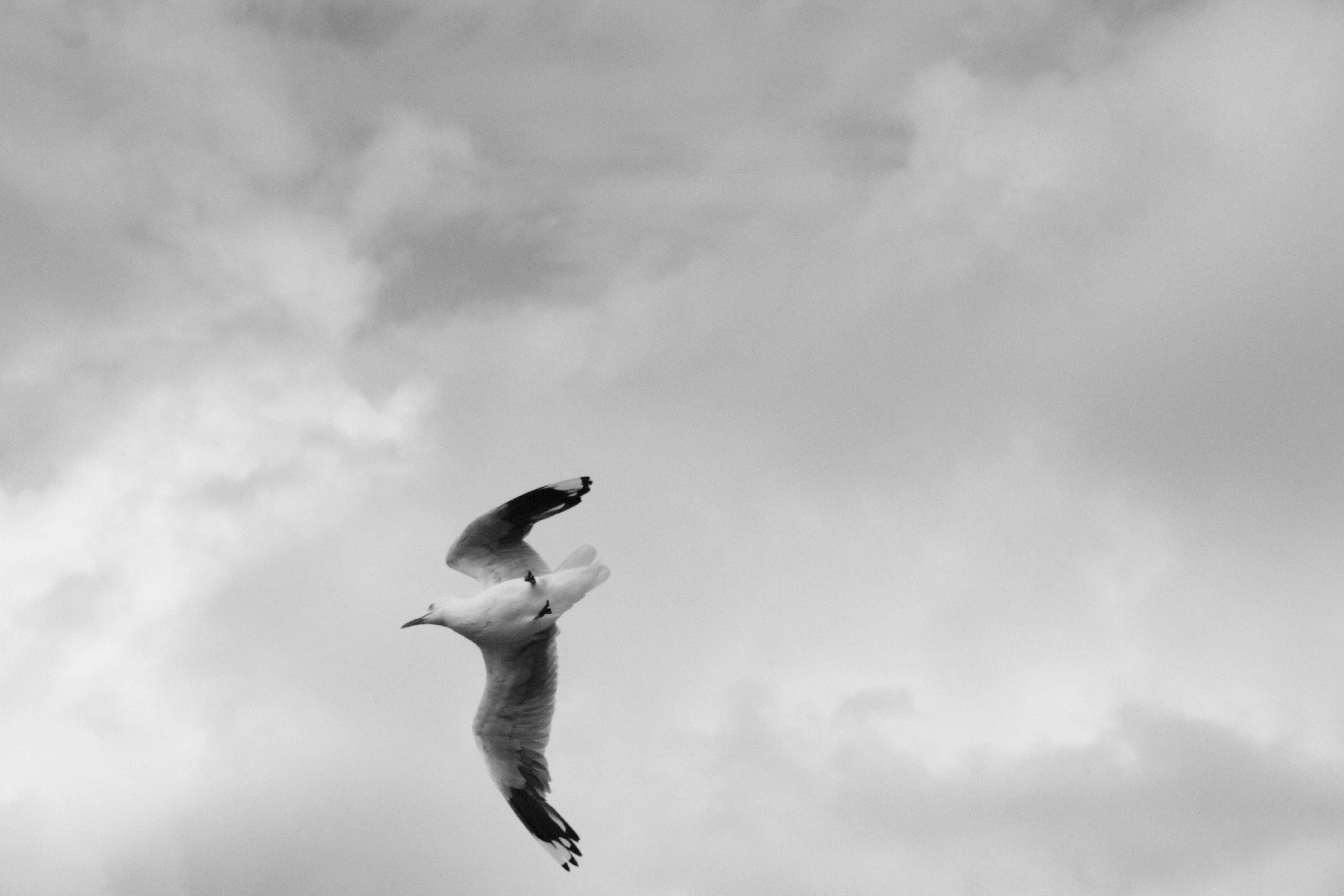 Photo by toeljimothy