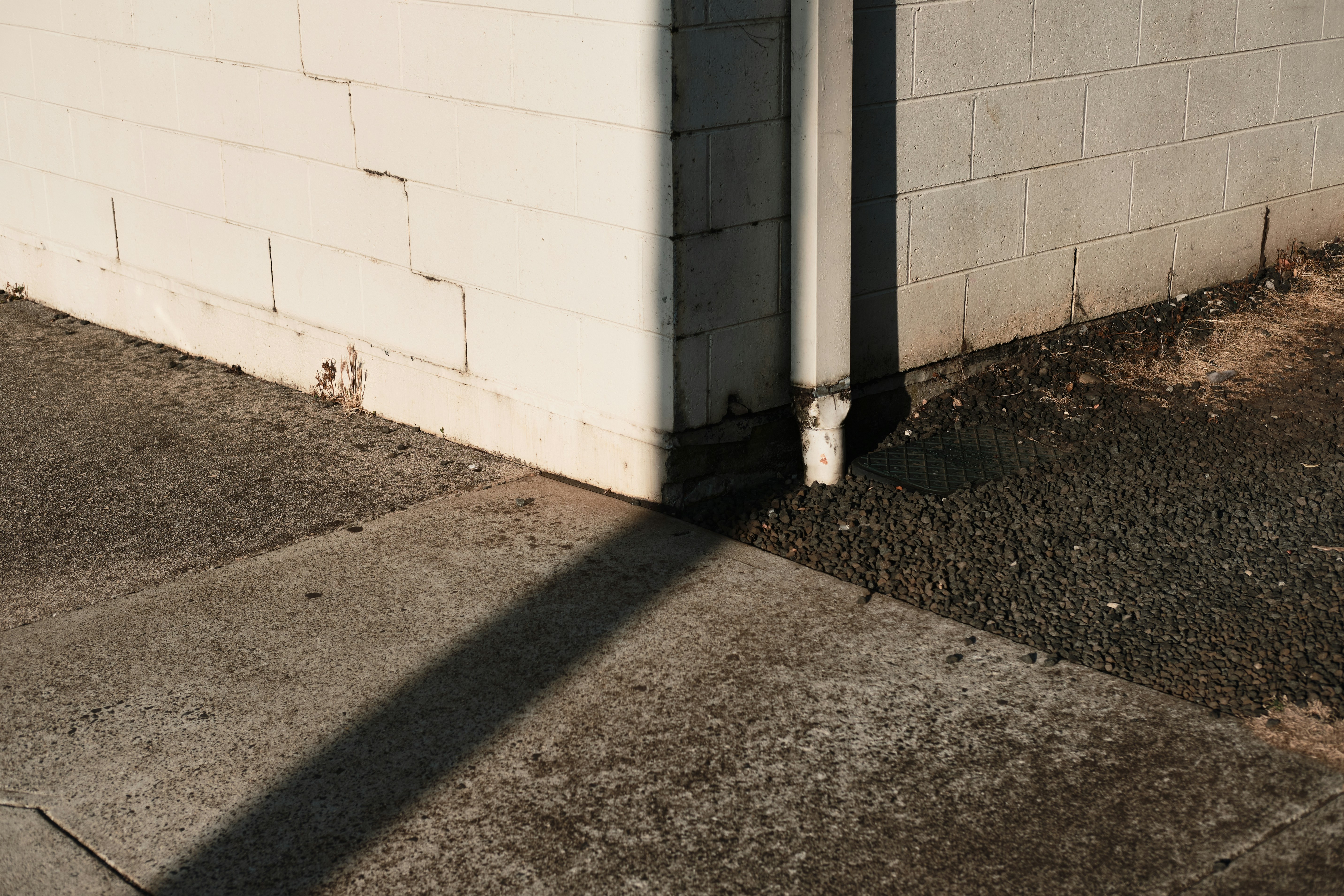 Emotional Significance of Your Dog’s Favorite Corners