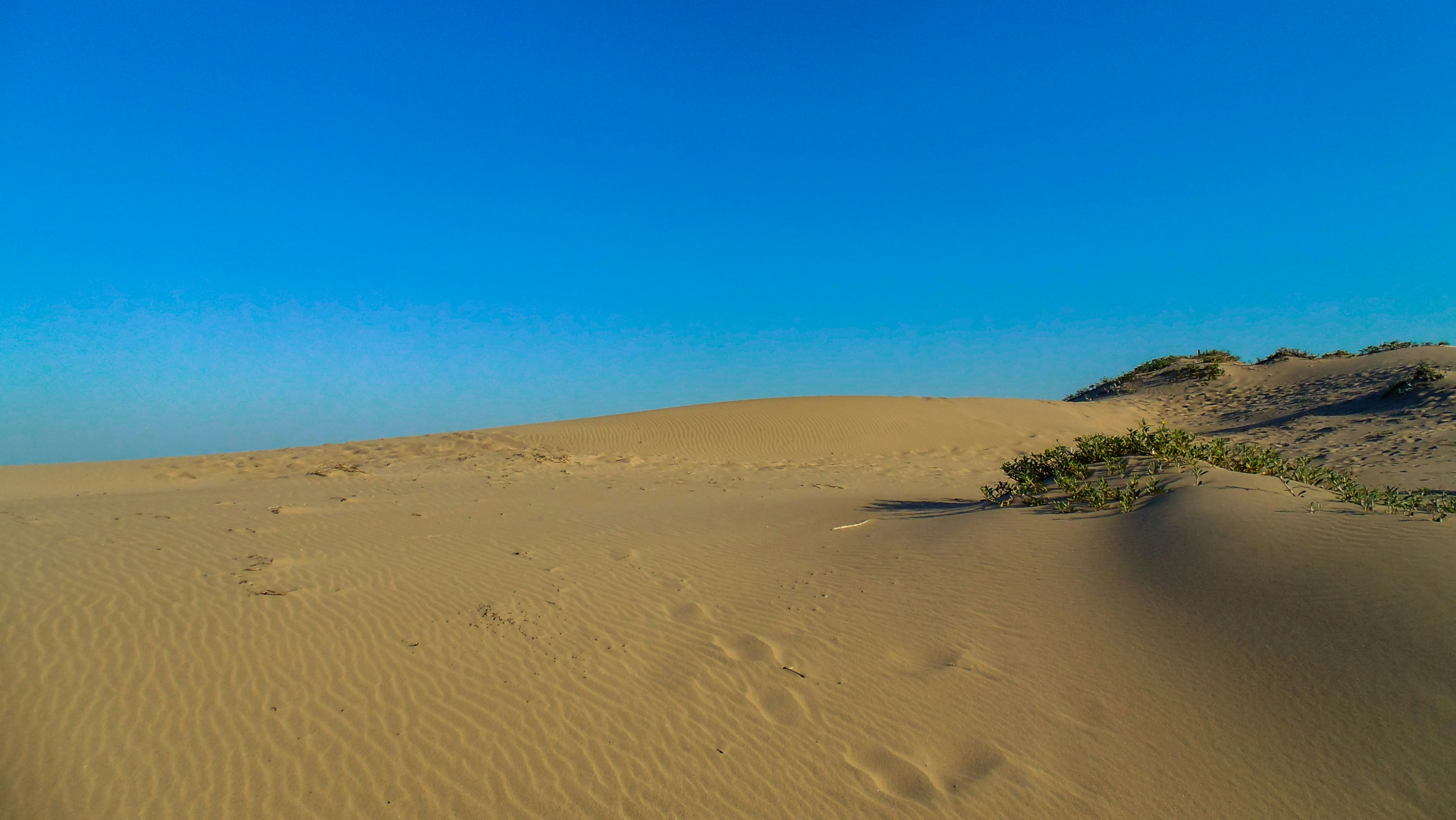 Sand Dunes 