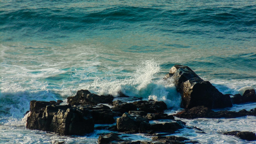 Wildlife photo spot Ballito Durban