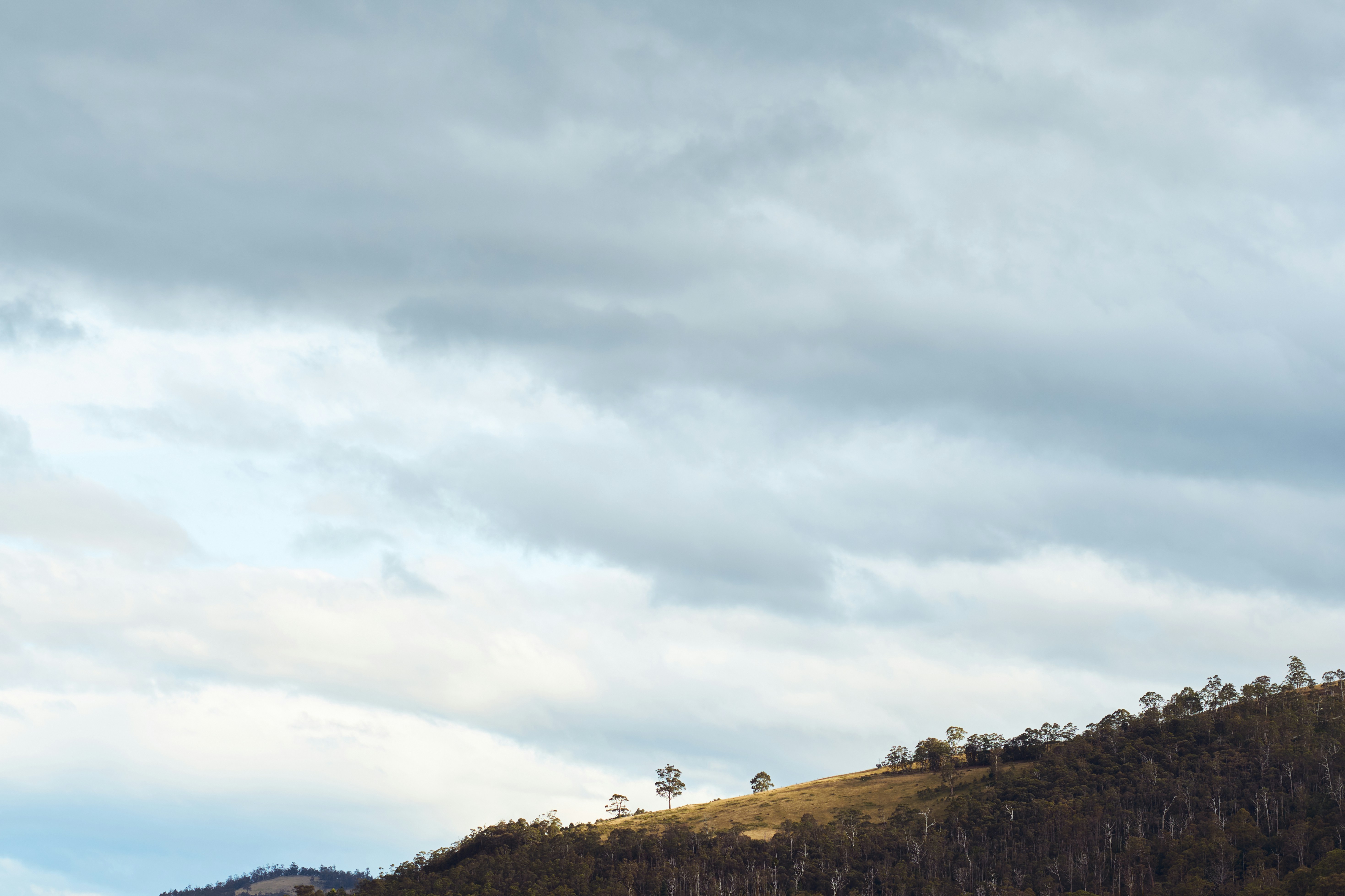 Photo by toeljimothy