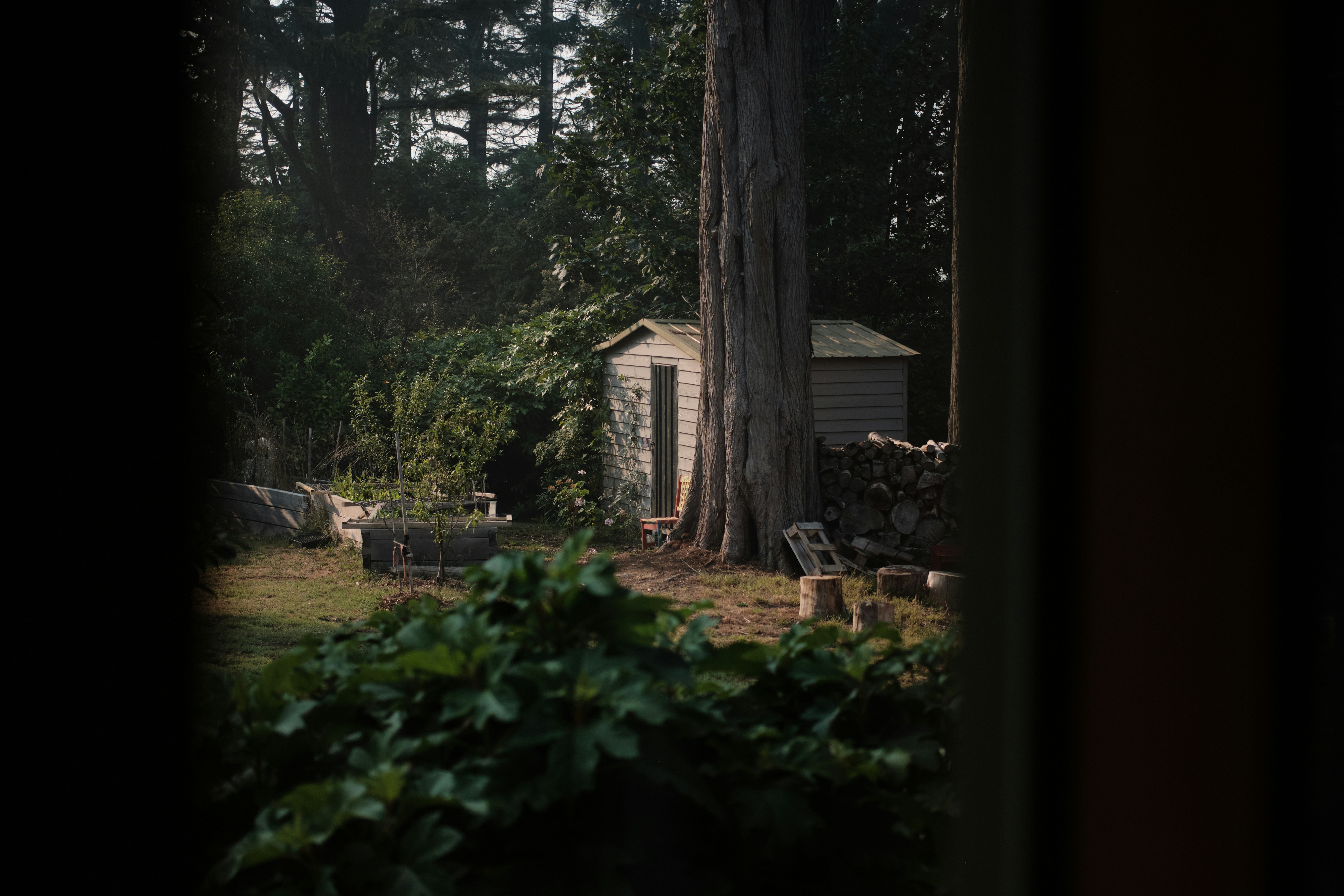 Photo by toeljimothy