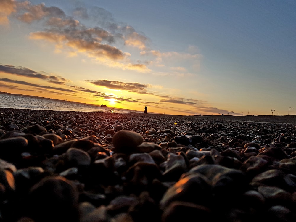 silhouette of people on beach during sunset