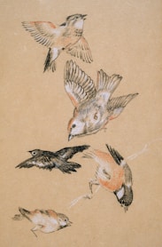 brown and white bird print textile