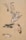brown and white bird print textile