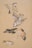brown and white bird print textile