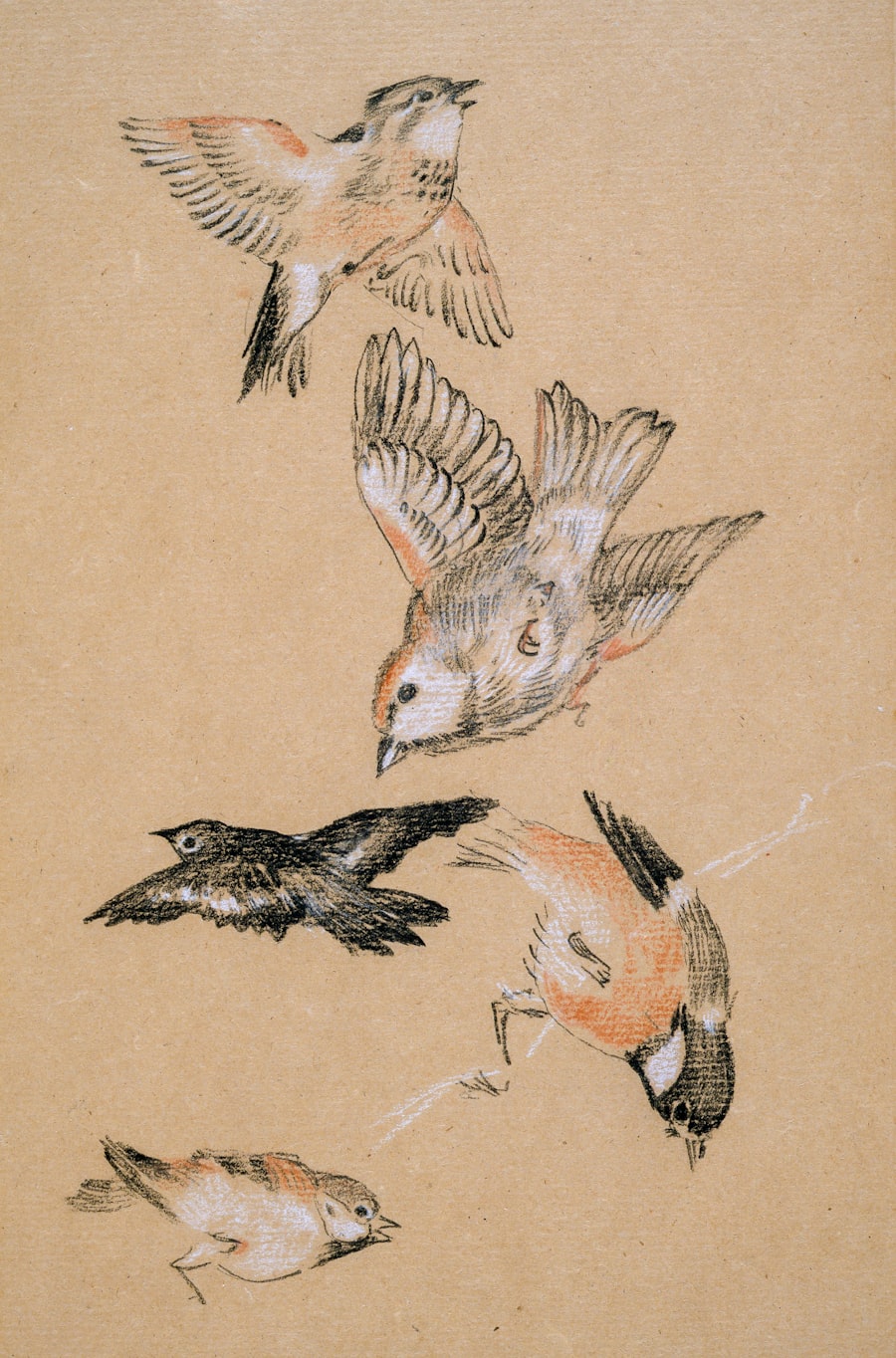 Sketches and drawings spread across a studio desk with ink bottles