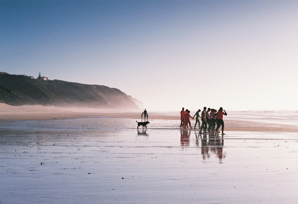 people standing on beach during daytime