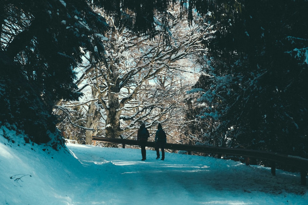 person in black coat walking on snow covered ground