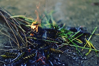 Burning twigs and grass with visible flames and smoke on a dark surface.