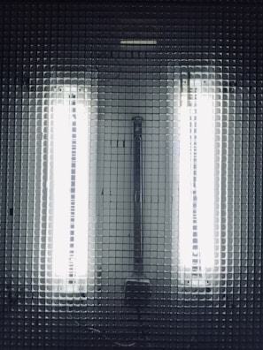 Two fluorescent lights situated behind a grid-like mesh structure. The lights emit a strong, cool white light that illuminates the surrounding area, creating a stark and industrial aesthetic.
