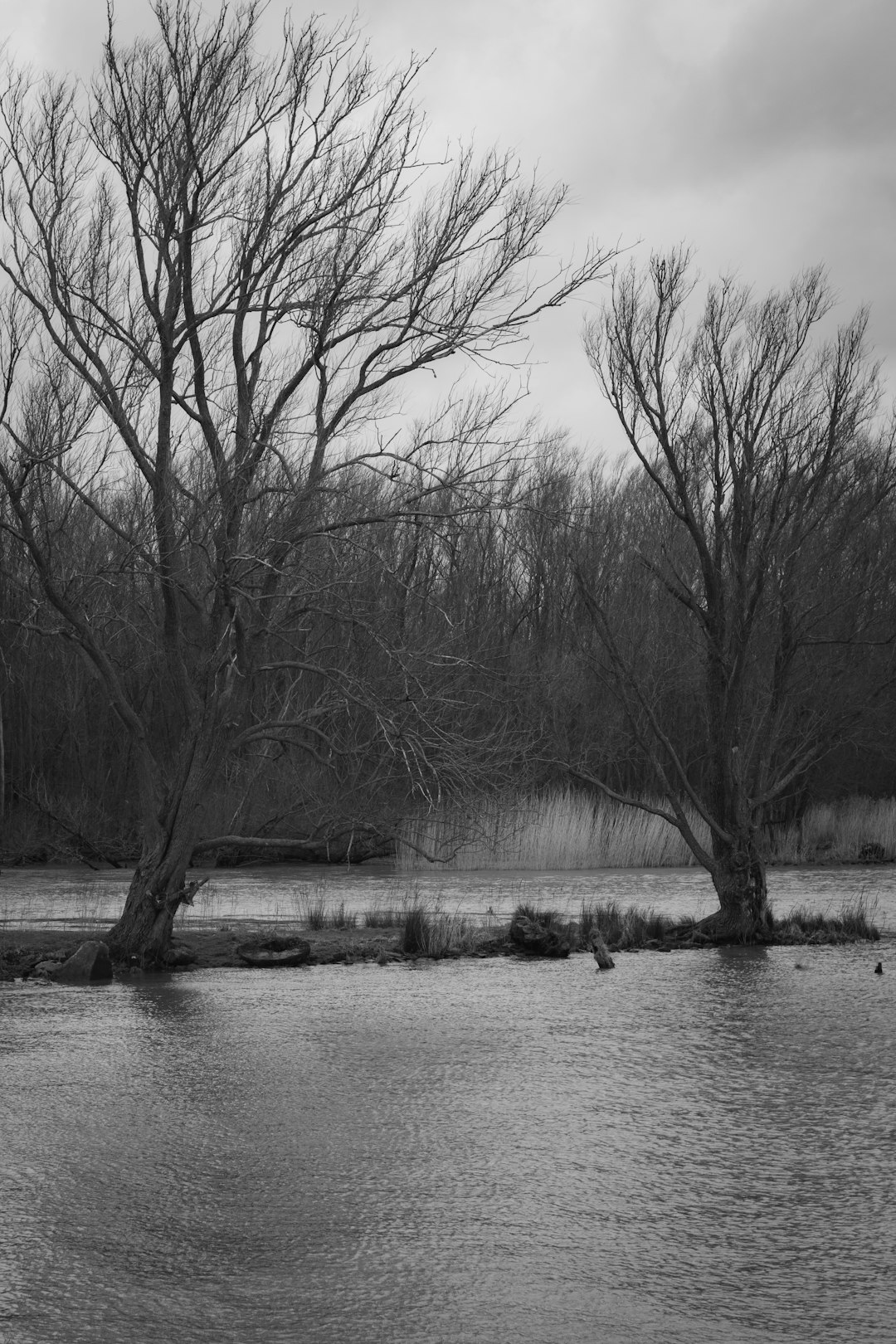 River photo spot Ridderkerk Beekse Bergen