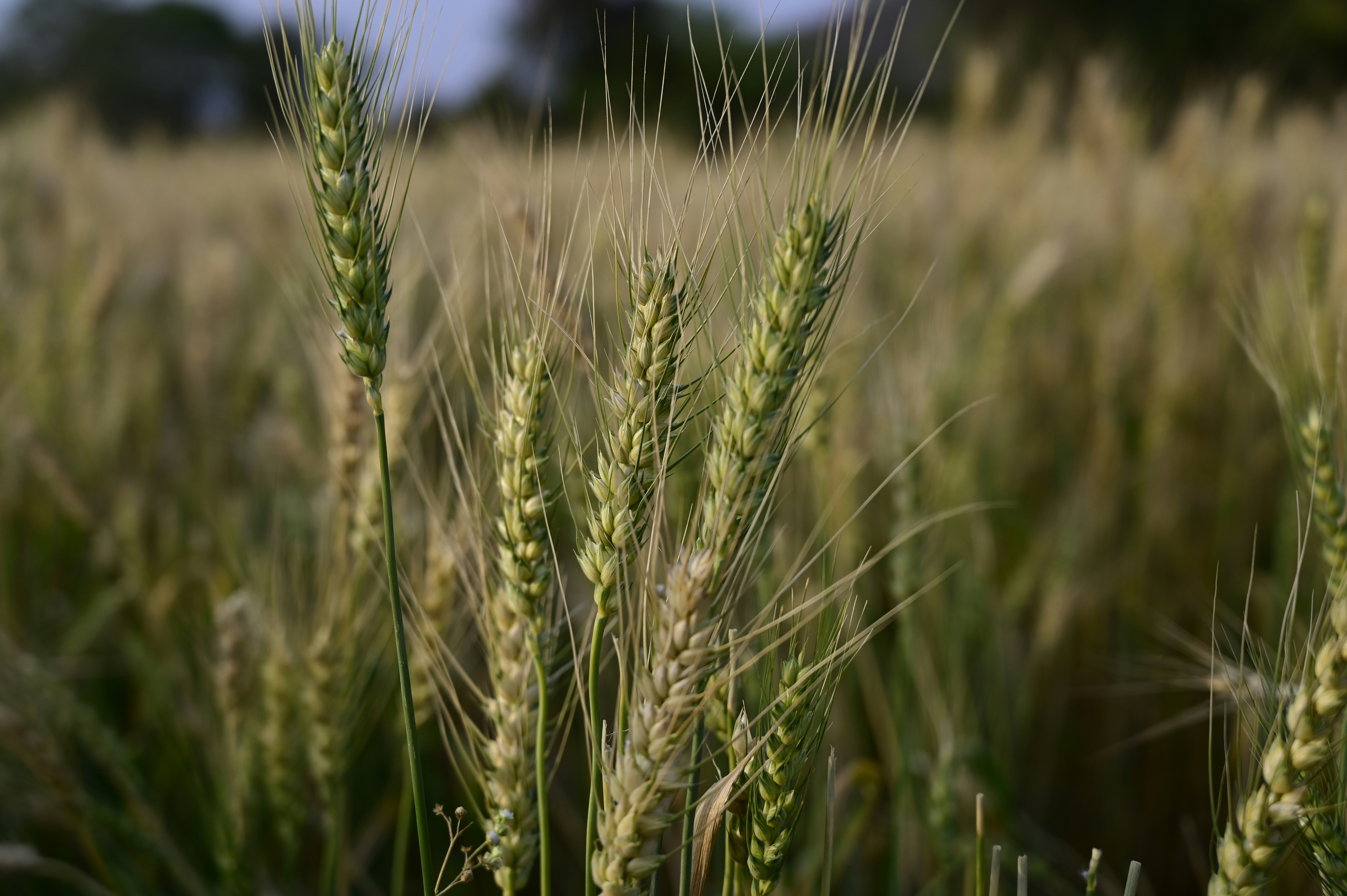 Photo by rrajputphotography