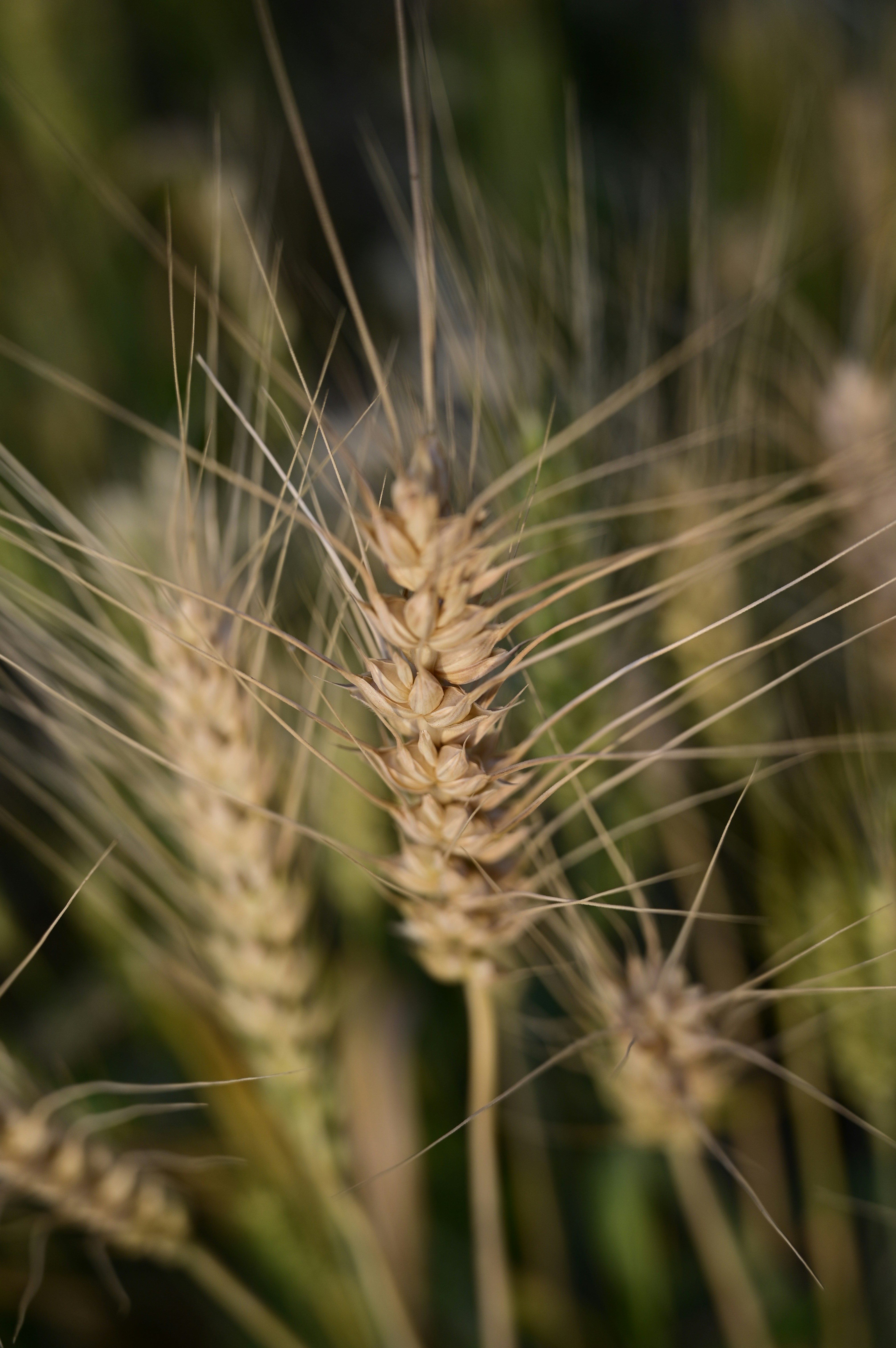 Photo by rrajputphotography