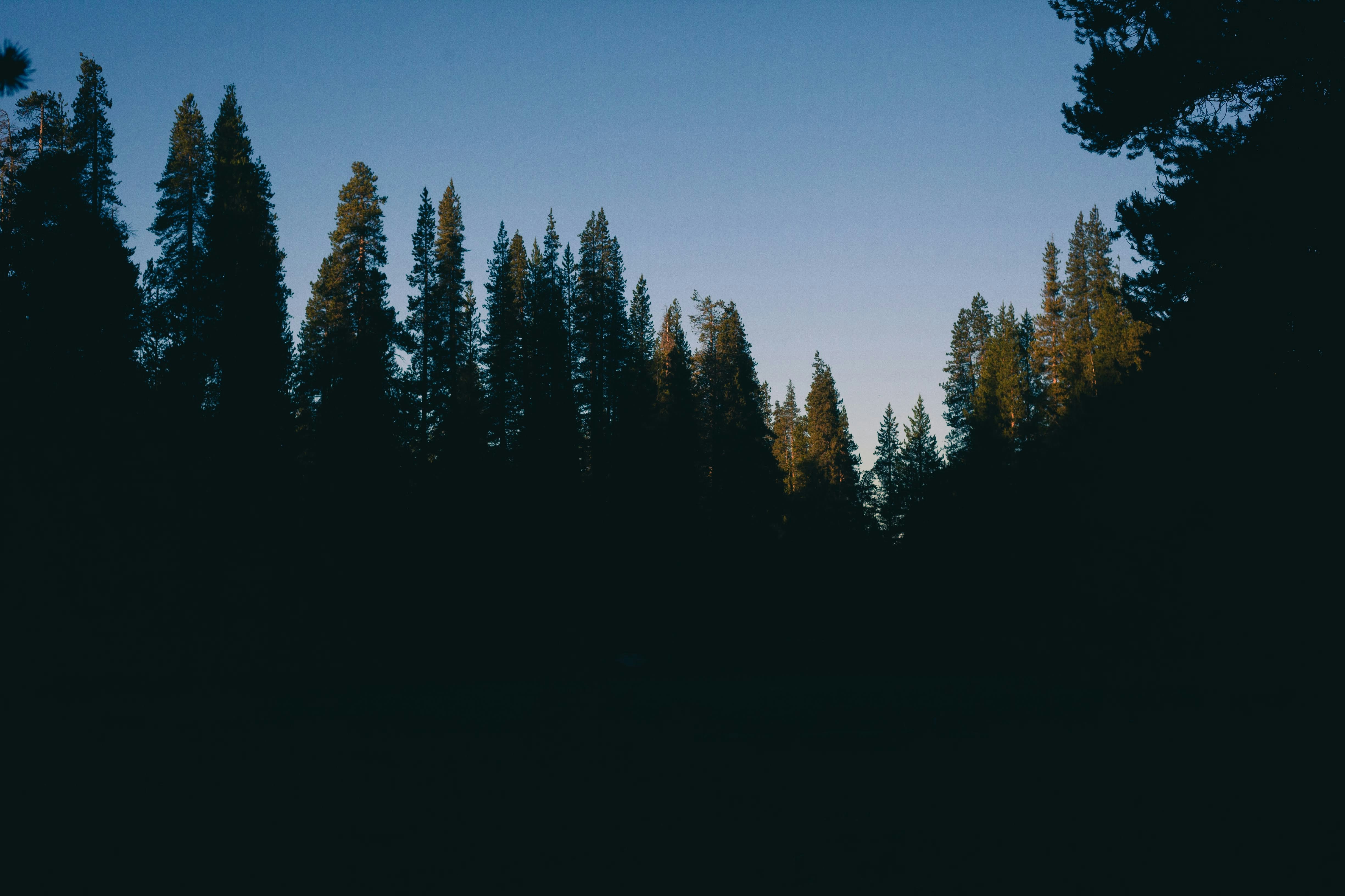 Photo by reallygoodjames