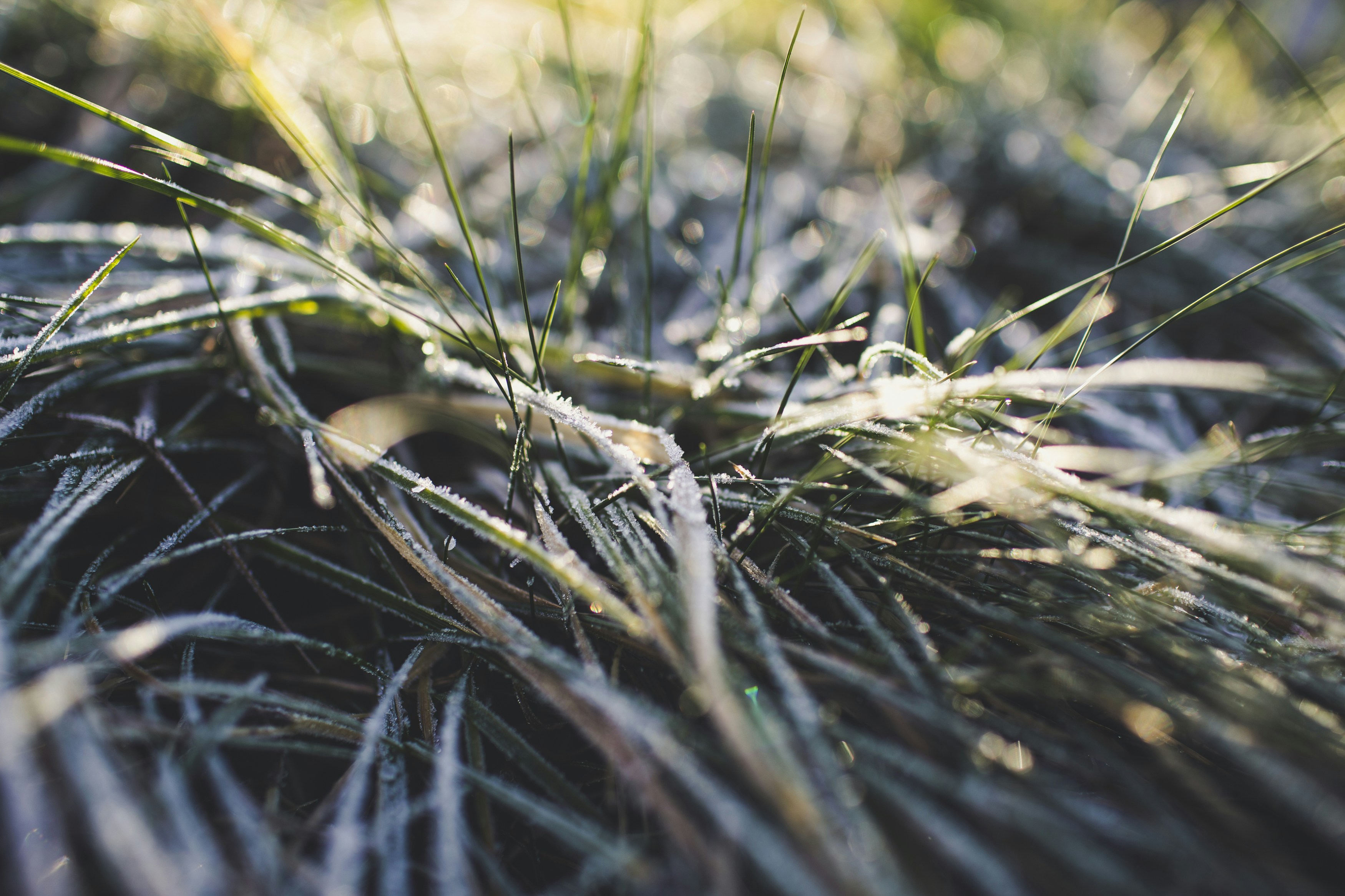 Photo by markusspiske