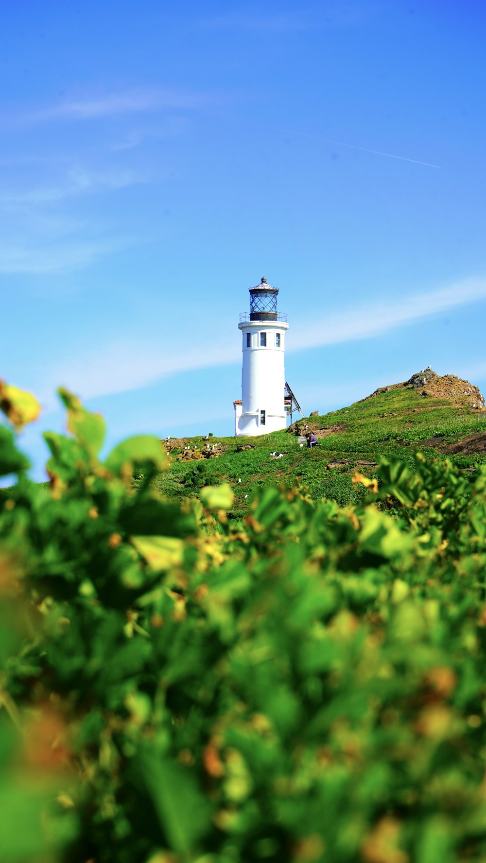 white lighthouse on green grass field under blue sky during daytime