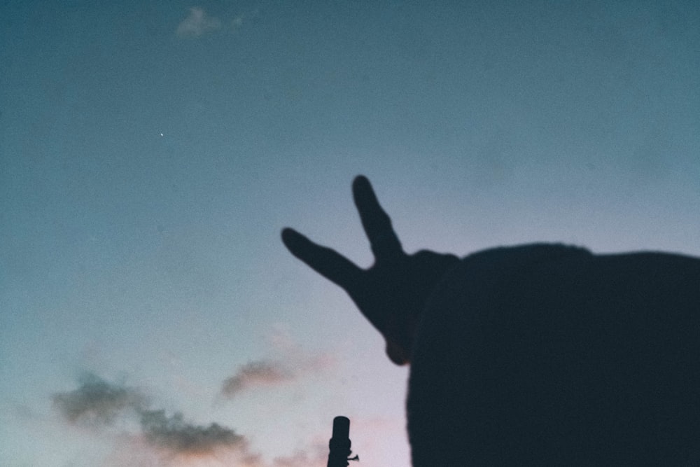 silhouette of persons hand