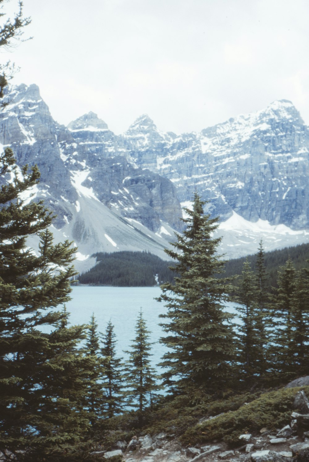 green pine trees near lake and snow covered mountain during daytime