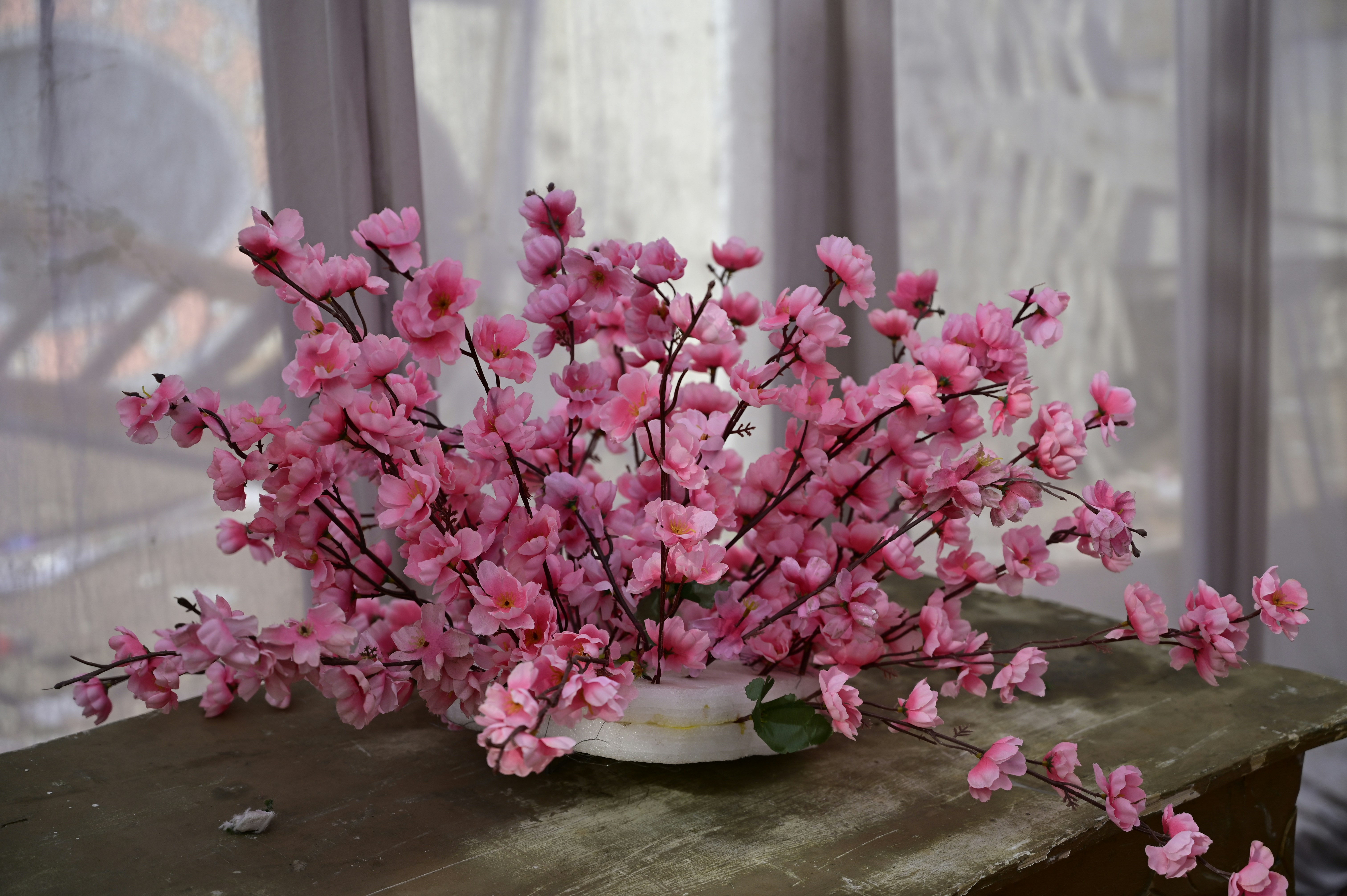 Photo by rrajputphotography