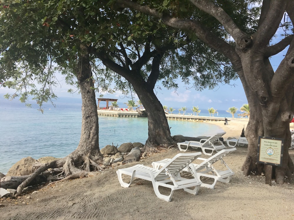 white wooden bench on beach shore during daytime