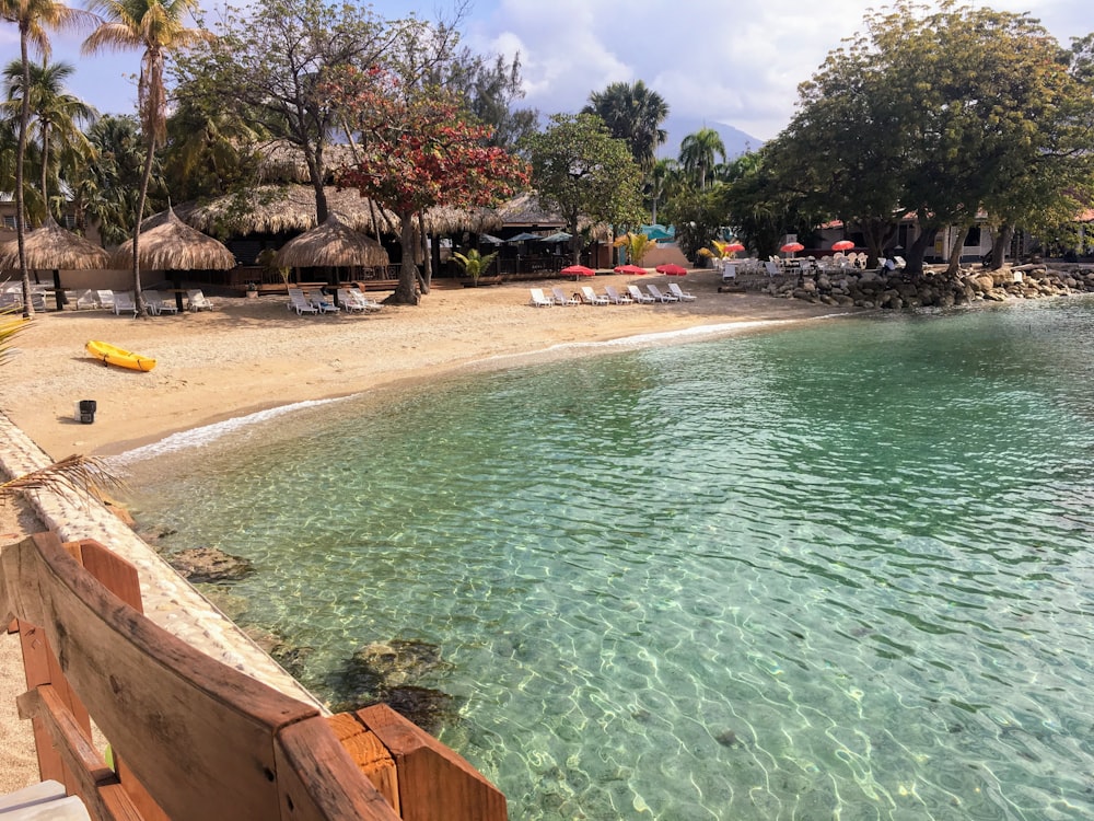 people swimming on beach during daytime