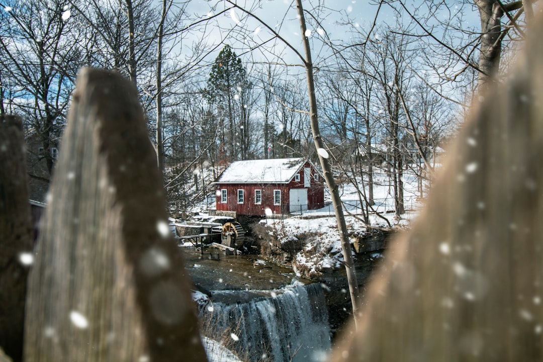 Forest photo spot DeCew Falls High Park