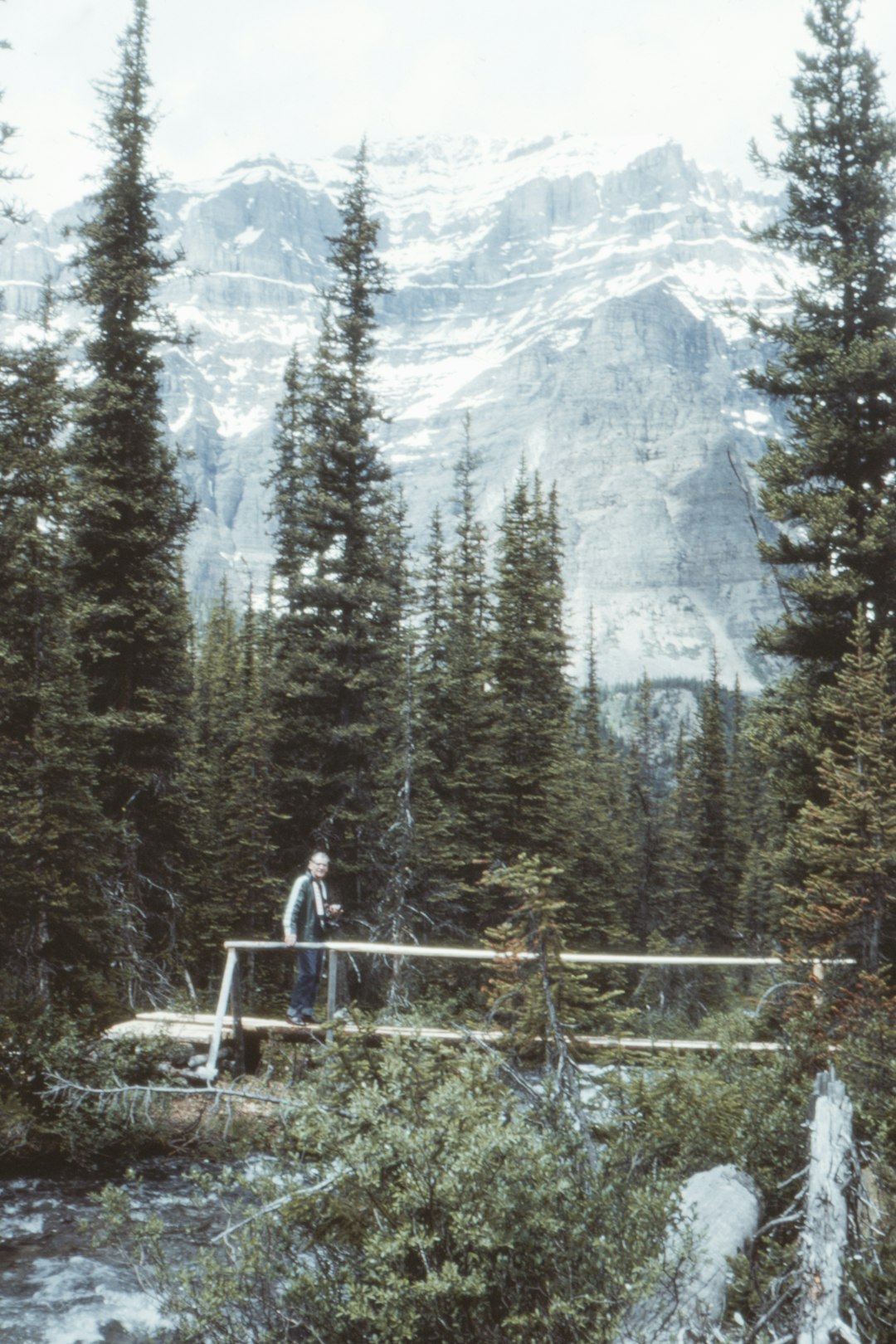 woman in white shirt standing on brown wooden bridge near green trees during daytime