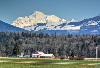 A rural landscape featuring a snow-capped mountain in the background, surrounded by forested hills. In the foreground, there is a red barn and several other farm structures situated amidst fields of green grass. The sky above is clear and blue, adding a serene quality to the scene.