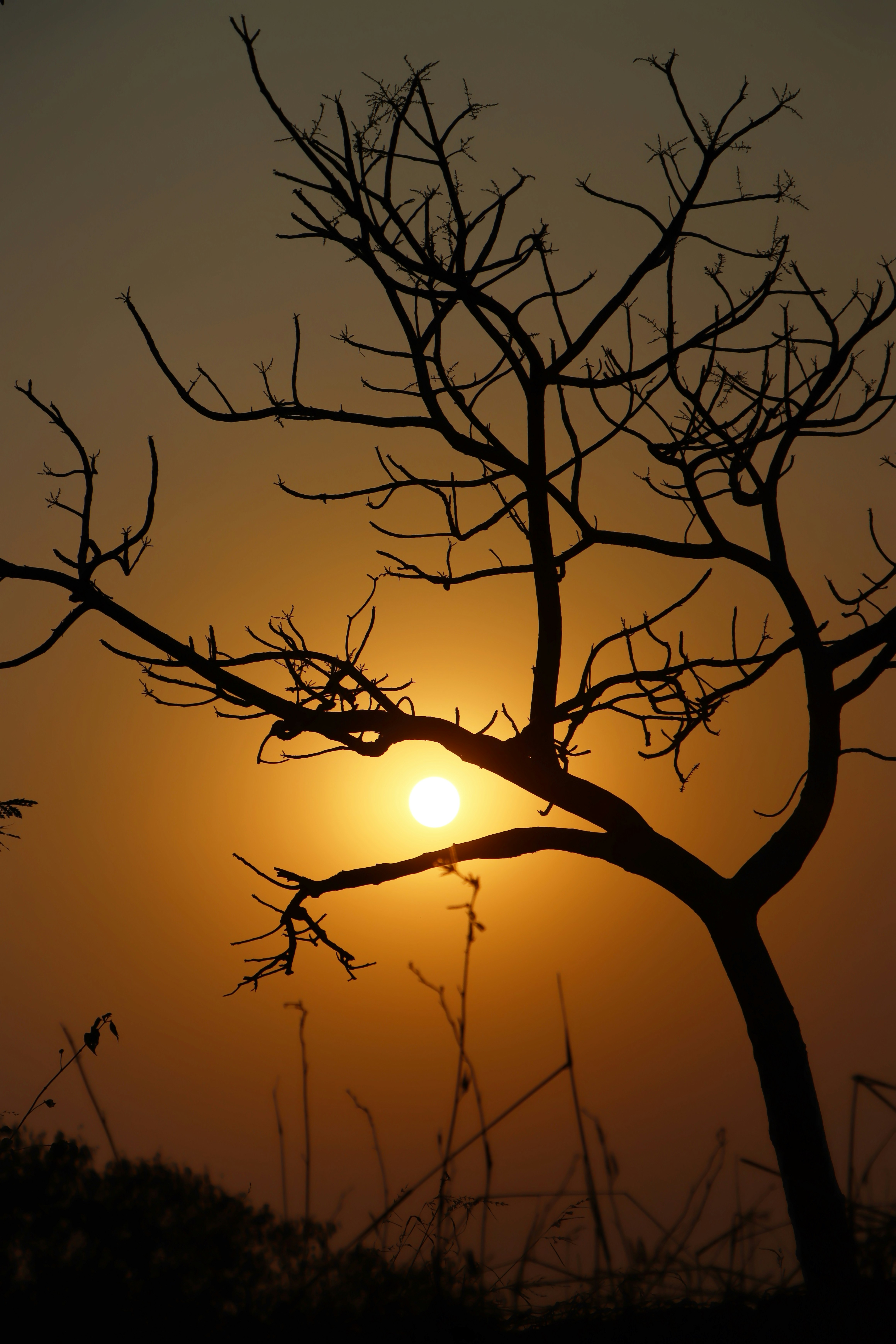 Photo by nitishmasule176