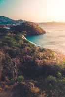 green trees on brown mountain beside blue sea during daytime
