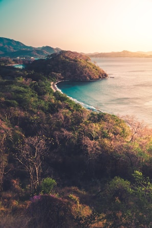 green trees on brown mountain beside blue sea during daytime
