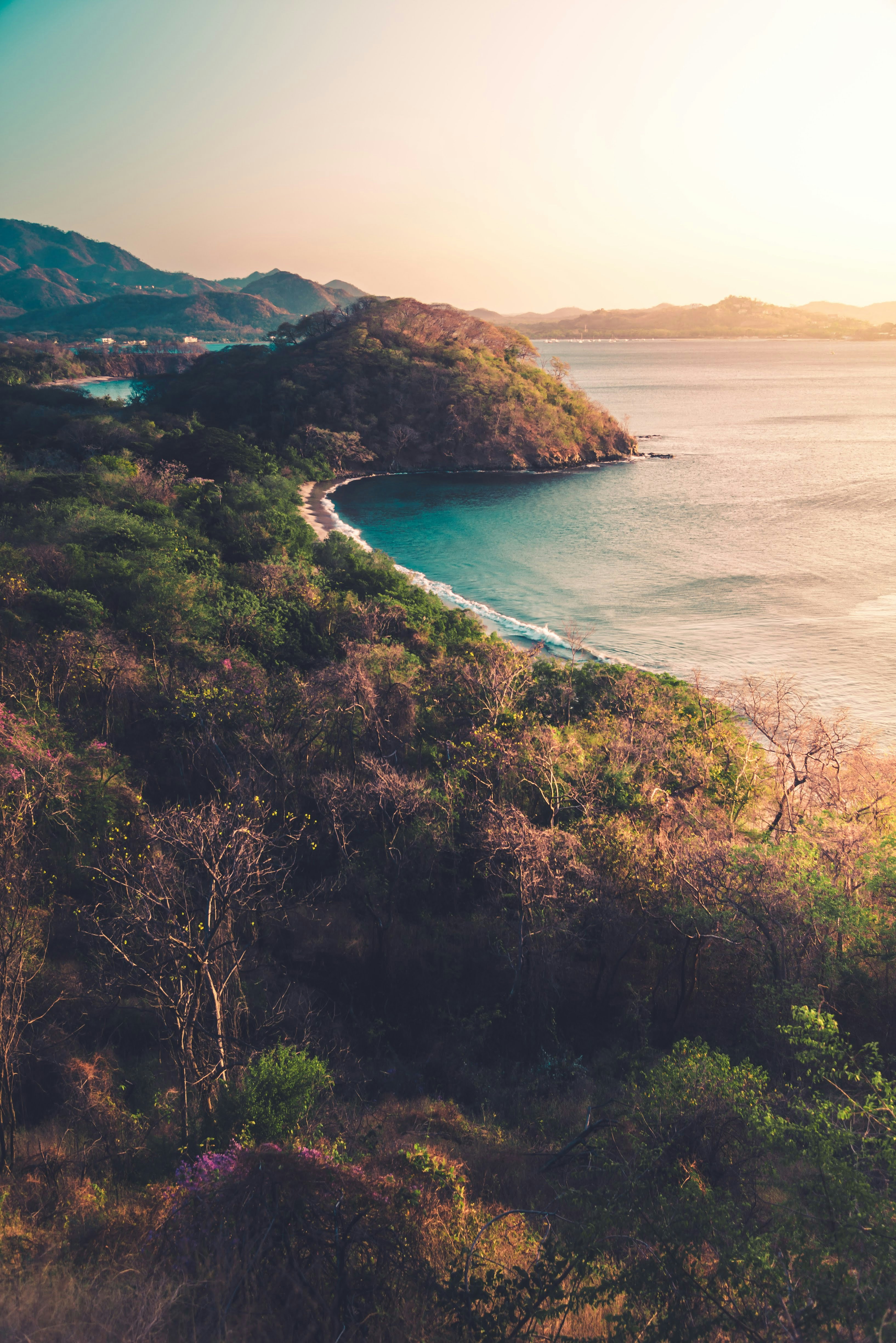 green trees on brown mountain beside blue sea during daytime