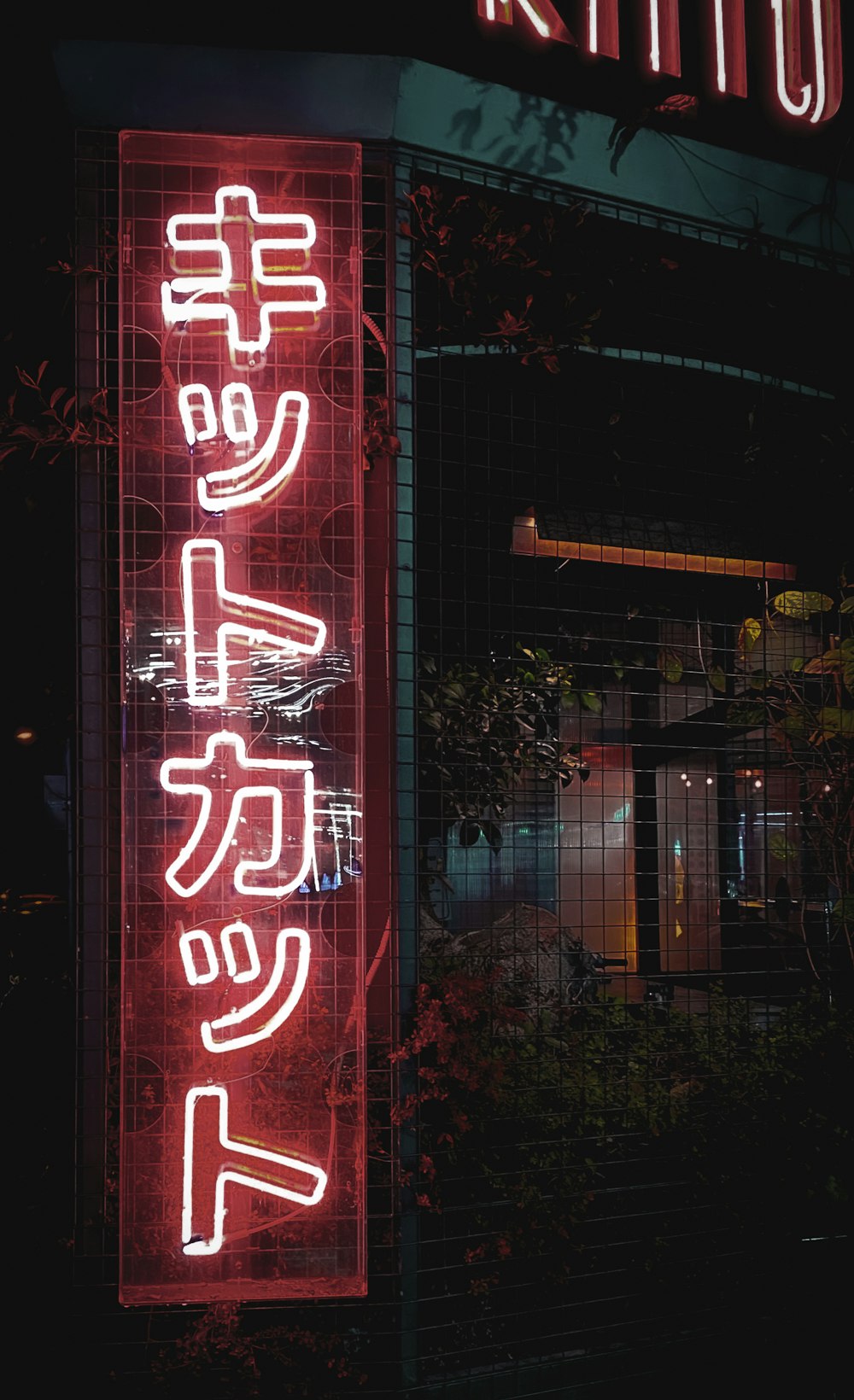 red and white coca cola neon light signage