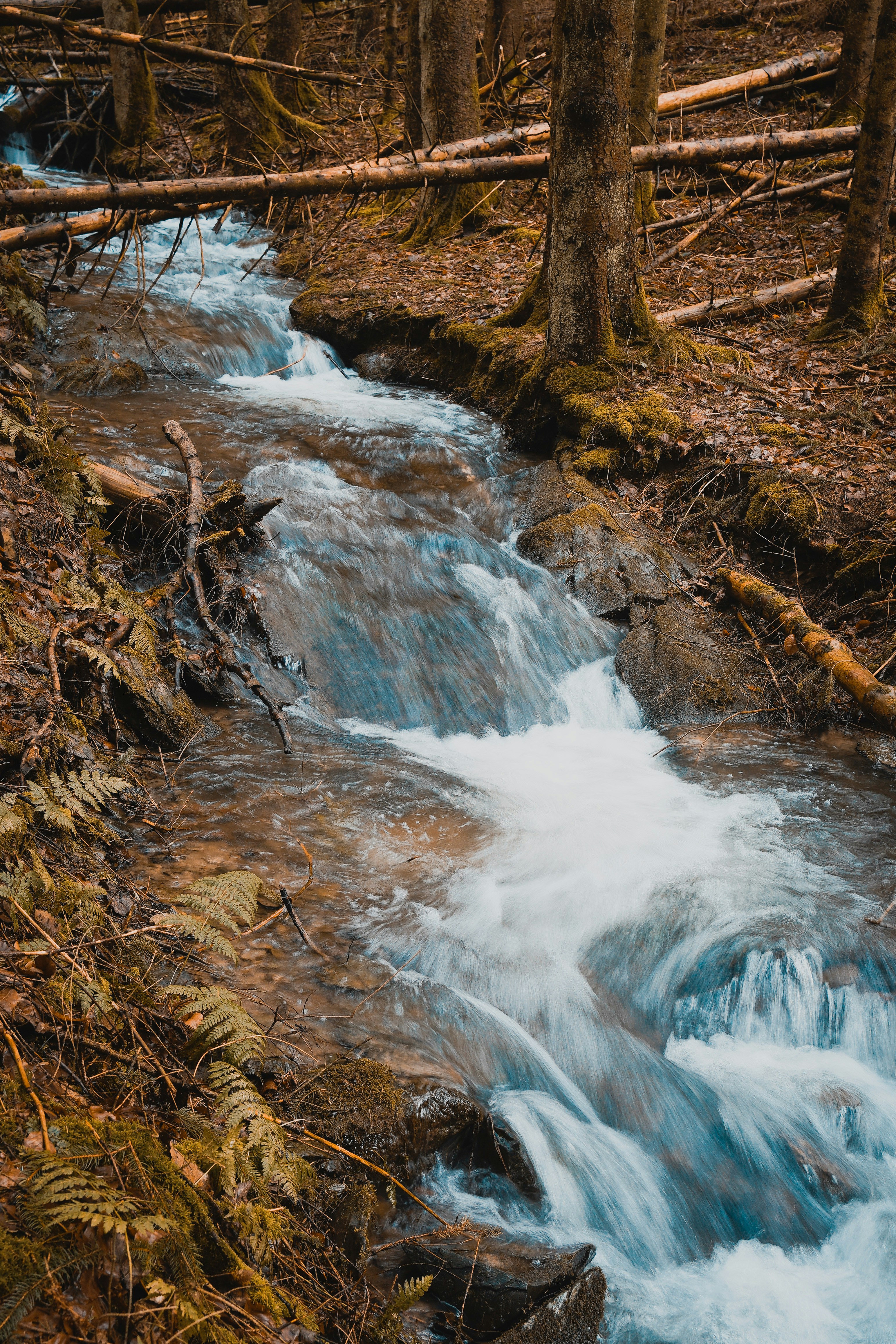 Photo by michelstock