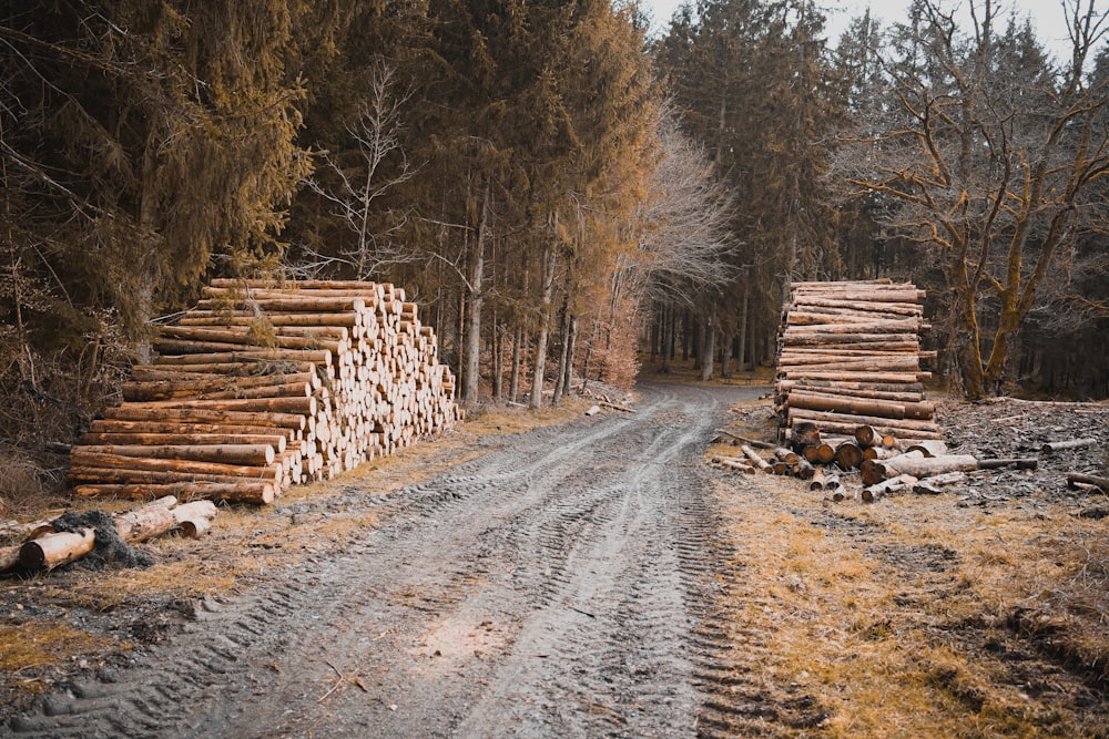 brown wooden logs on gray asphalt road during daytime