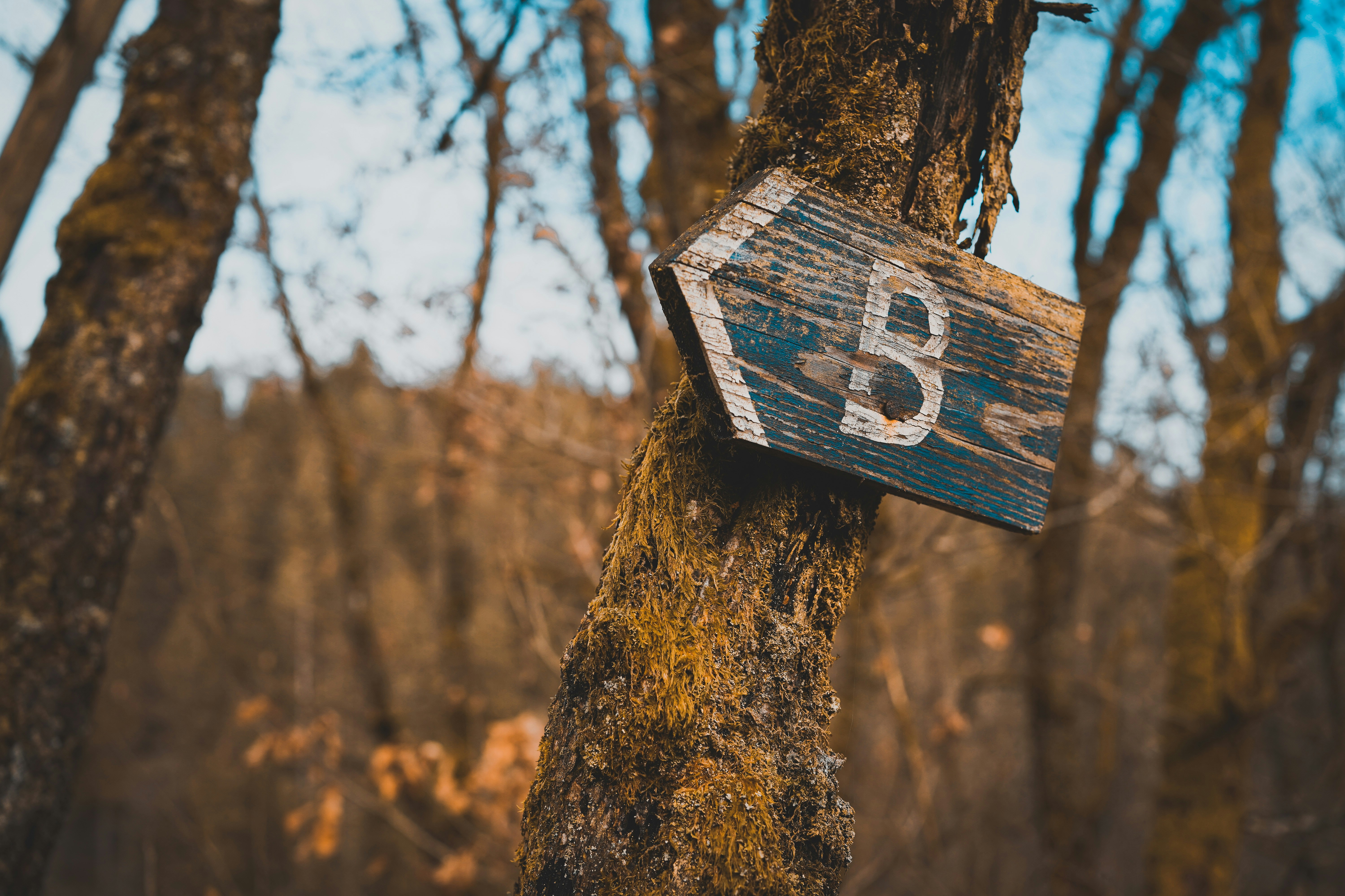 Photo by michelstock