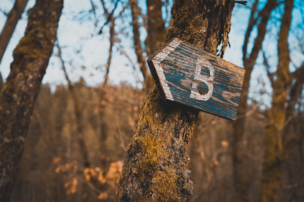 brown wooden signage on brown tree trunk