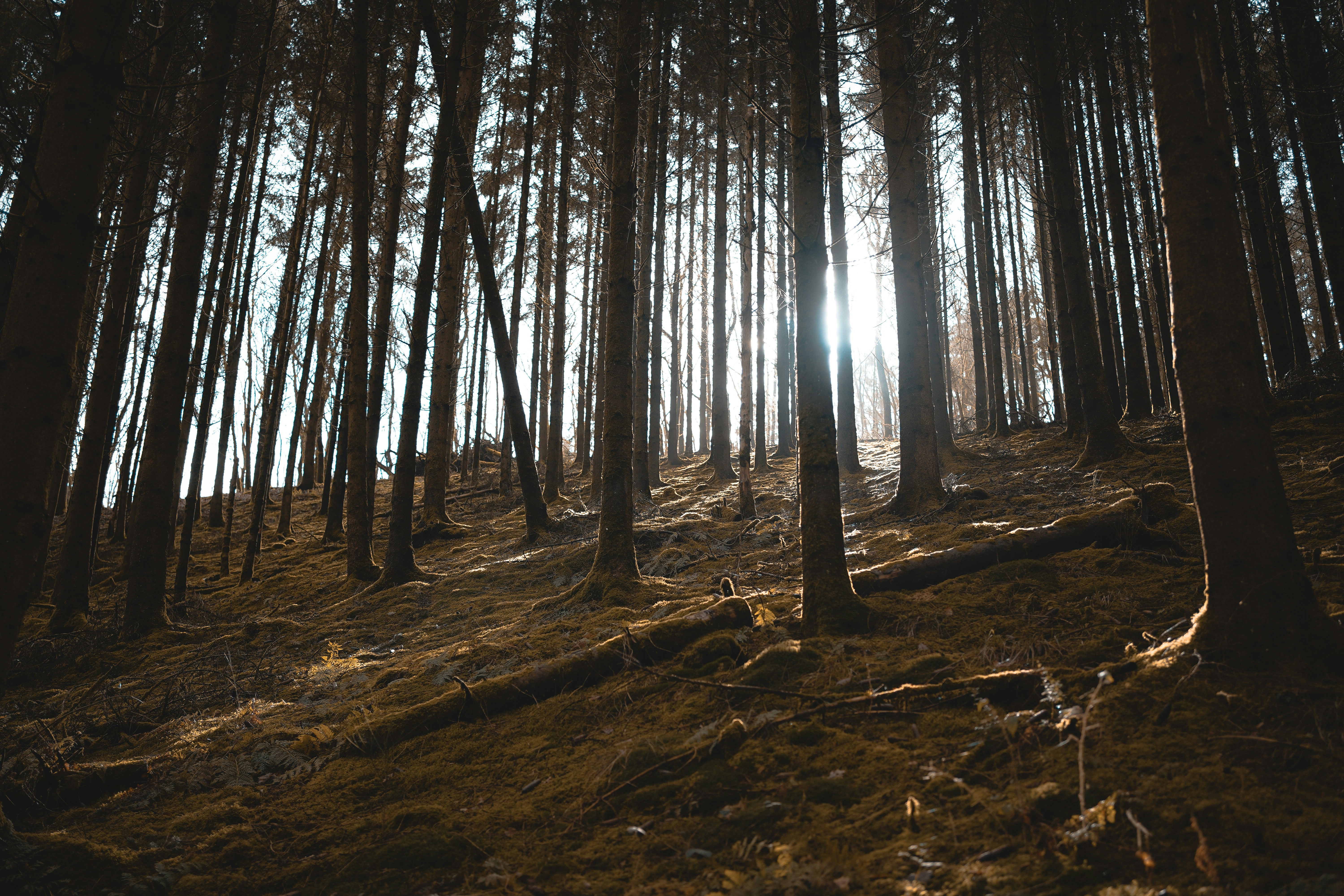 Photo by michelstock