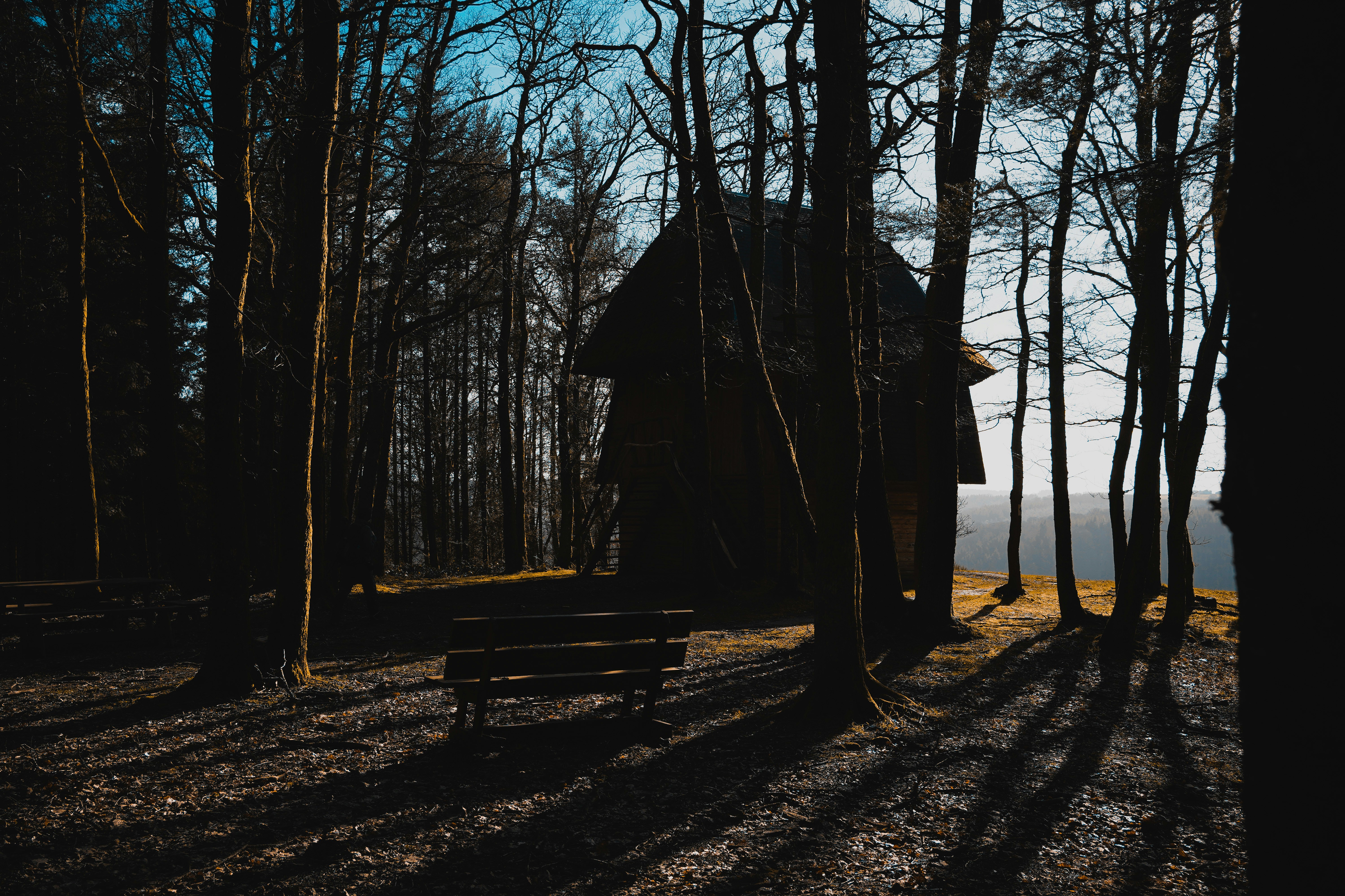 Photo by michelstock