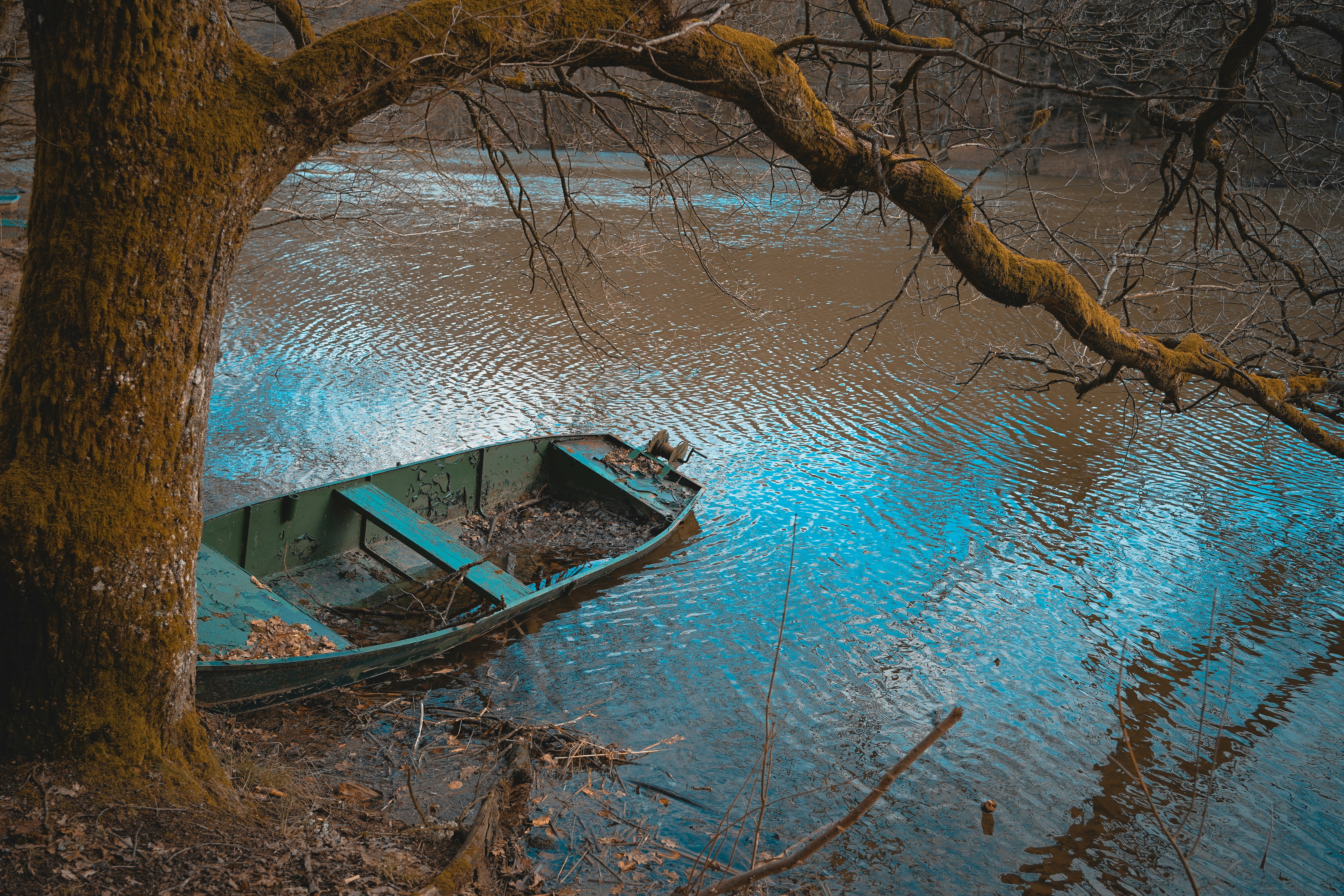 Brown wooden boat on body of water during daytime photo – Free Blue ...
