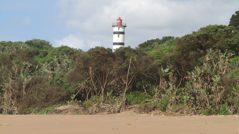 white and red lighthouse on brown sand near body of water during daytime