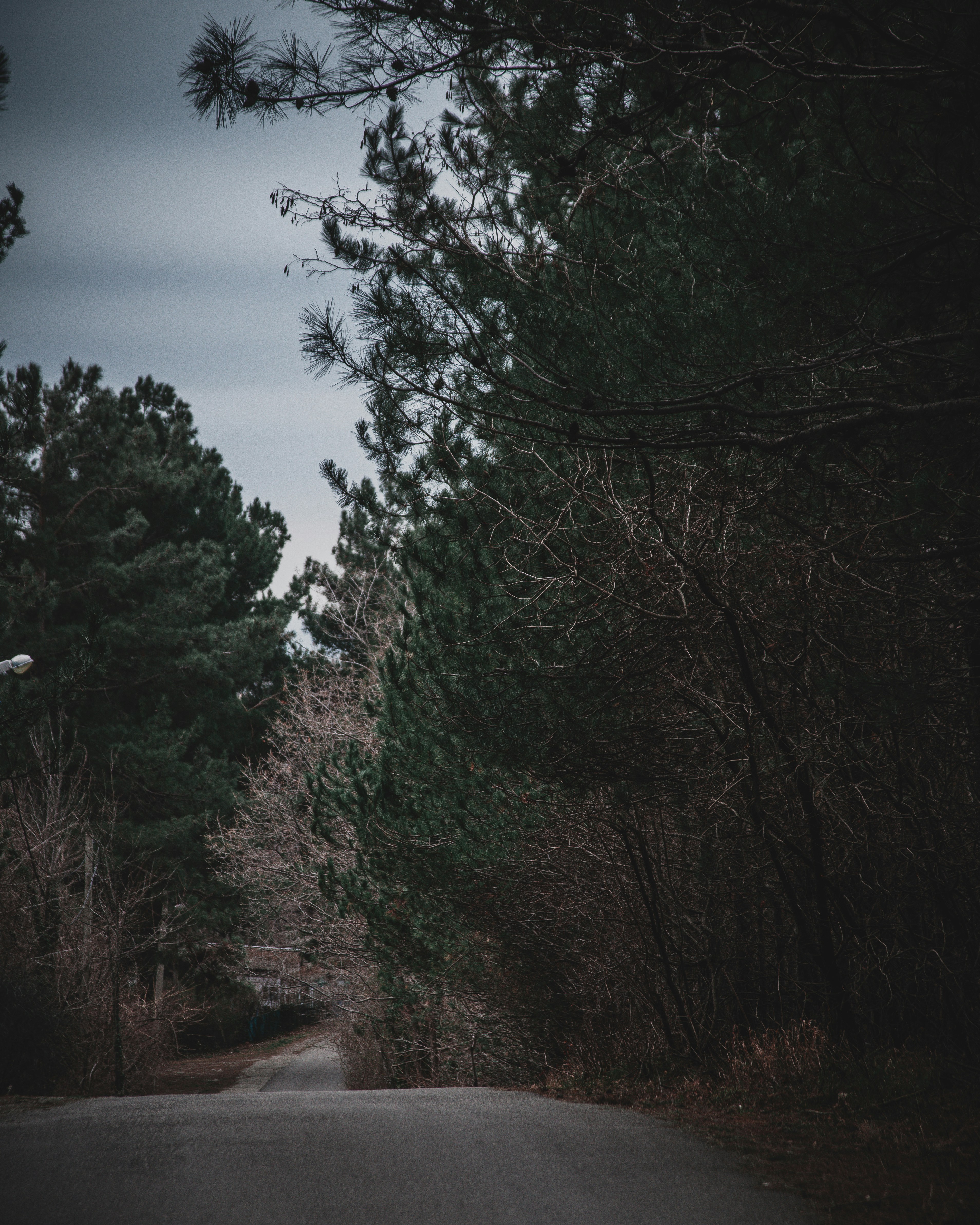 Photo by dentrushtin