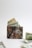 A camouflage-patterned wallet is open, with visible US dollar bills partially sticking out. Additional bills are scattered on the flat surface in front of the wallet, with a plain white background giving a minimal and clean appearance.