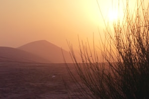 Desert Sand Shawl