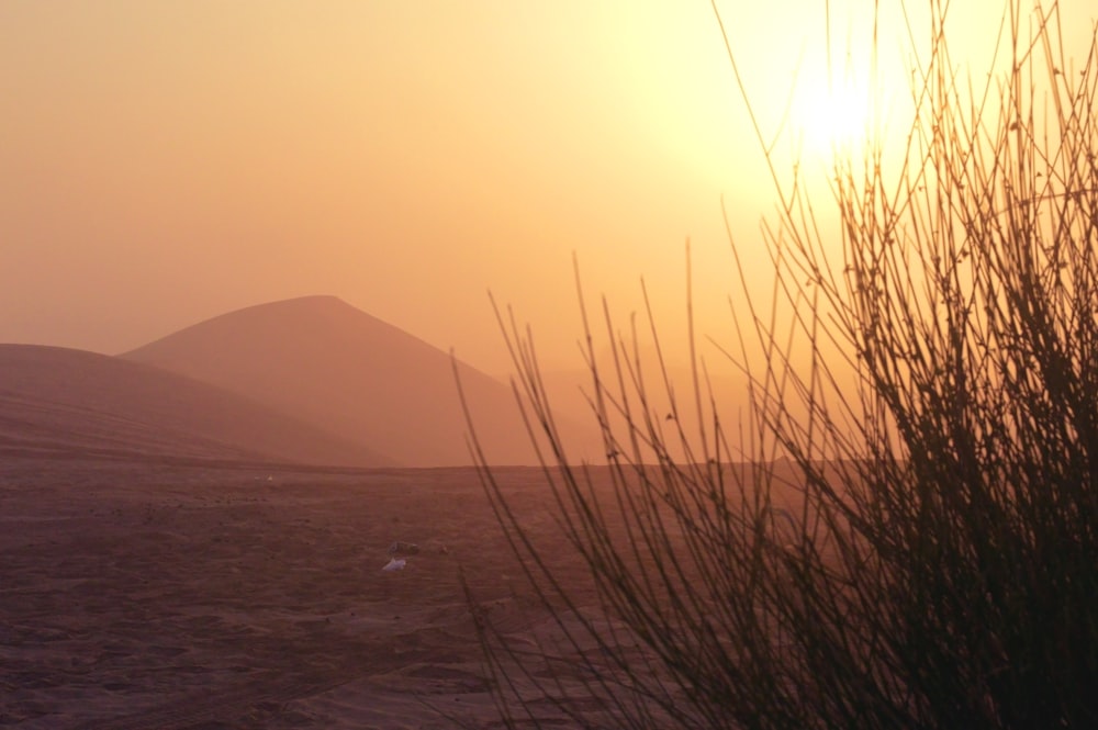 silhouette of mountain near body of water during sunset