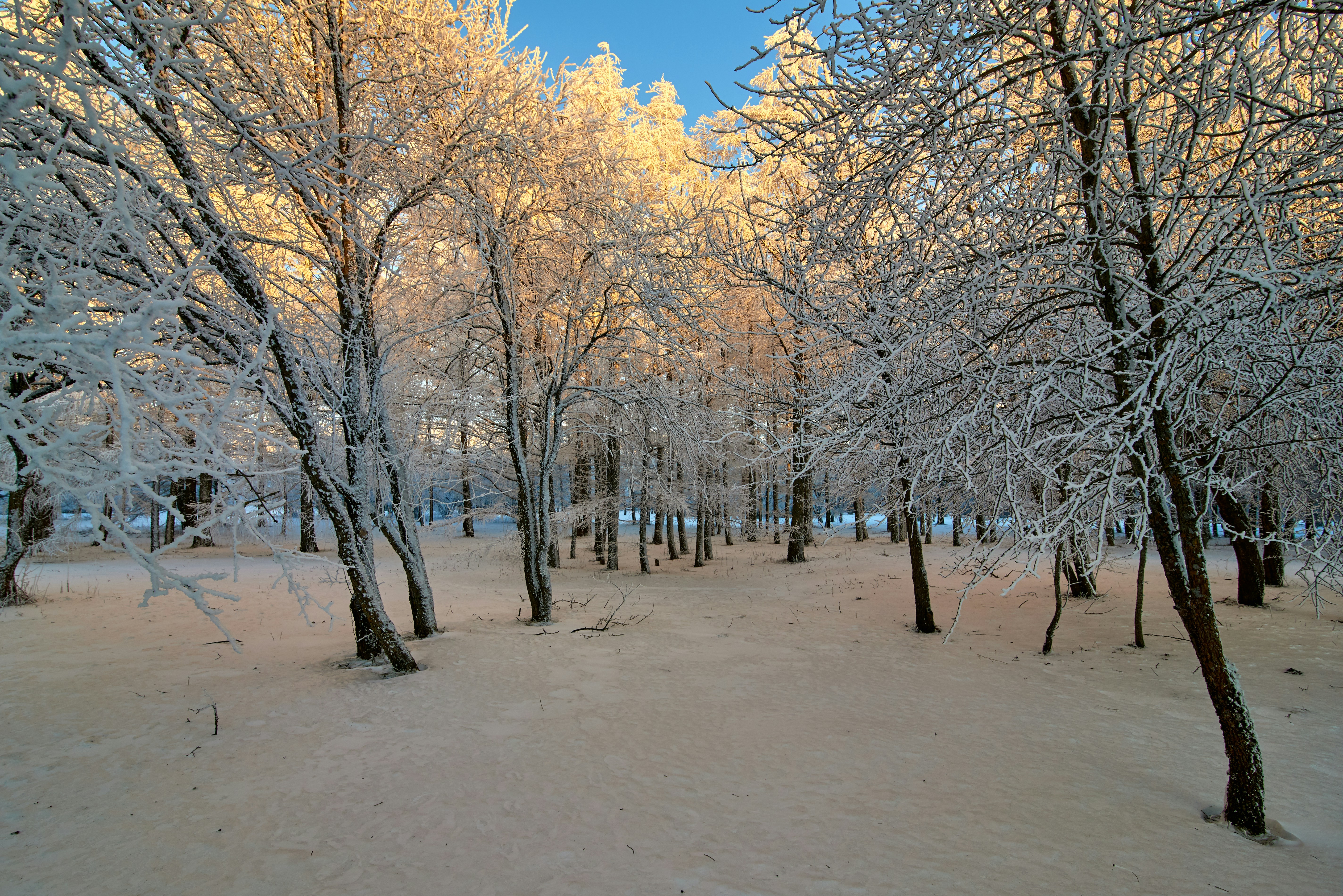 Photo by vladzh