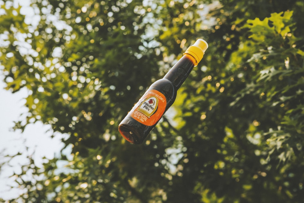 brown glass bottle on green tree during daytime