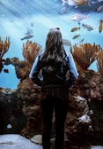 A person with long dark hair stands in front of a large aquarium, observing diverse fish swimming in an underwater scene filled with coral reefs. Sunlight filters through the water, creating a serene and magical atmosphere.